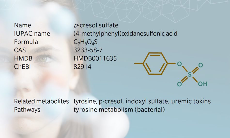 p-cresol sulfate – A key uremic toxin with implications for gut health and chronic disease